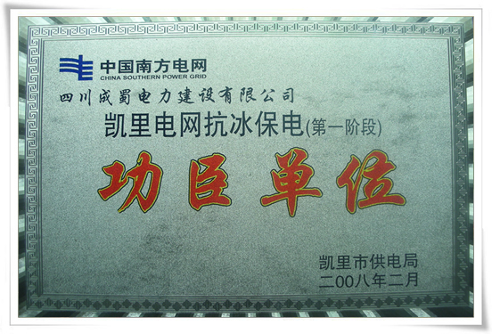 我公司赴黔抗冰保電搶險隊獲多項榮譽