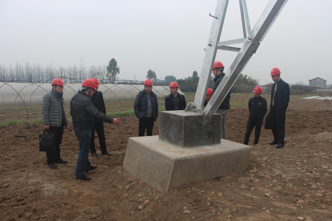 浙江送變電工程公司領導、專家蒞臨我 施工項目部參觀考察