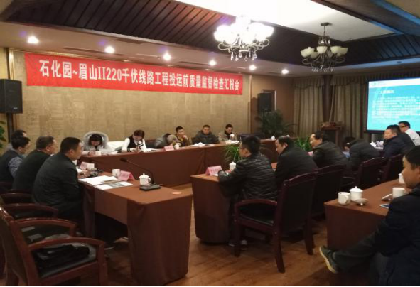 石化園～眉山Ⅱ220千伏線路工程通過投運前的質(zhì)量監(jiān)督檢查