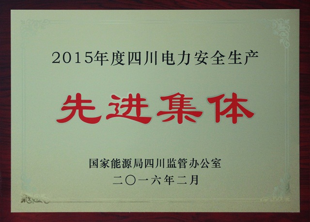 公司被評為2015年度四川電力安全生產(chǎn)先進集體