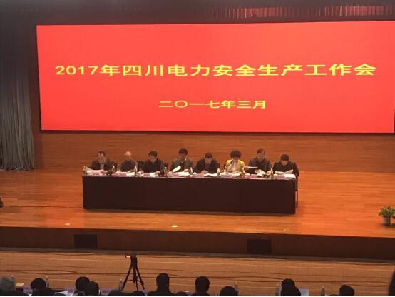 公司總經(jīng)理陳云榮獲2016年度四川電力安全生產(chǎn)先進(jìn)個人