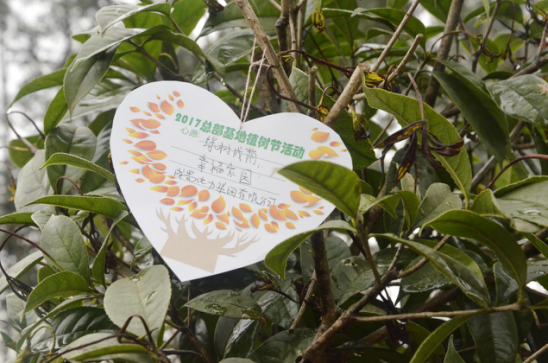 大地回春 植樹造林 成蜀電力集團積極參加園區(qū)植樹活動