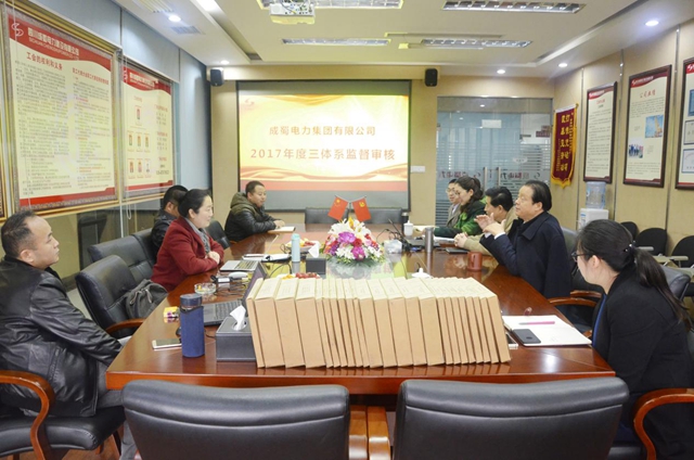 公司順利通過(guò)“三體系”年度督查審核
