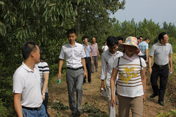 參與精準(zhǔn)扶貧 電力企業(yè)助推革命老區(qū)村道建設(shè)——集團(tuán)領(lǐng)導(dǎo)赴巴中市參與“駐村幫扶”項(xiàng)目調(diào)研