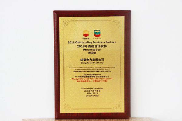 我集團榮獲川東北天然氣項目2018年杰出合作伙伴獎