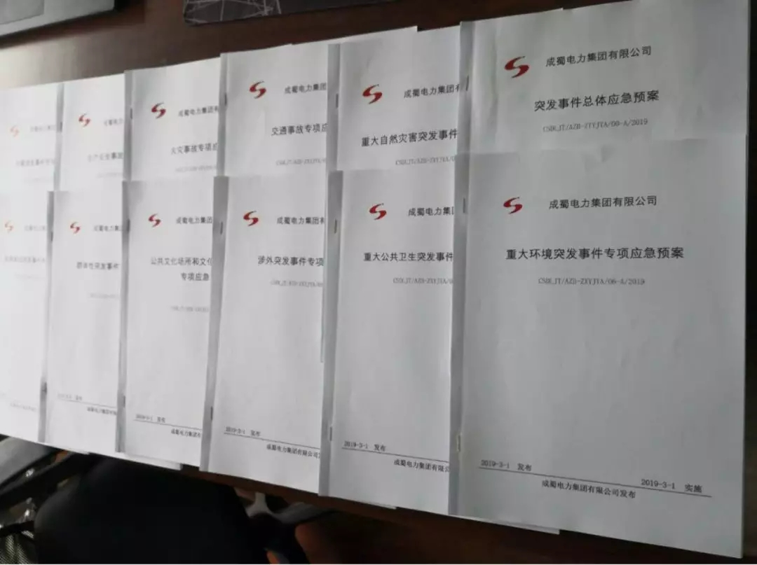 來(lái)自成蜀電力集團(tuán)的2019答卷