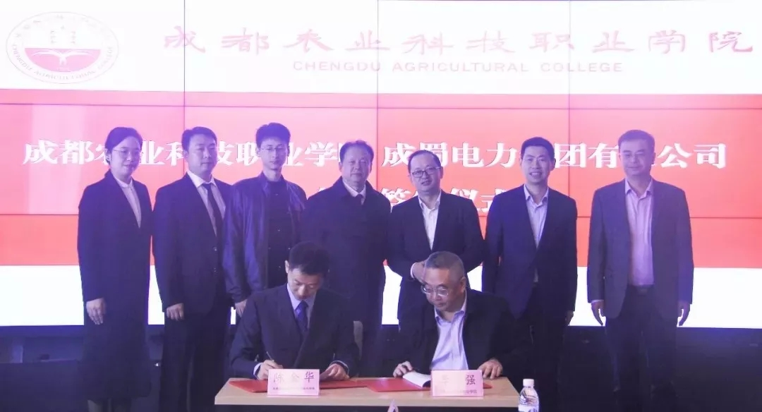 來(lái)自成蜀電力集團(tuán)的2019答卷