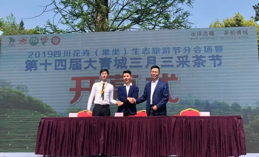 來(lái)自成蜀電力集團(tuán)的2019答卷