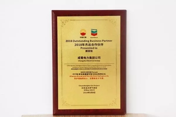 來(lái)自成蜀電力集團(tuán)的2019答卷