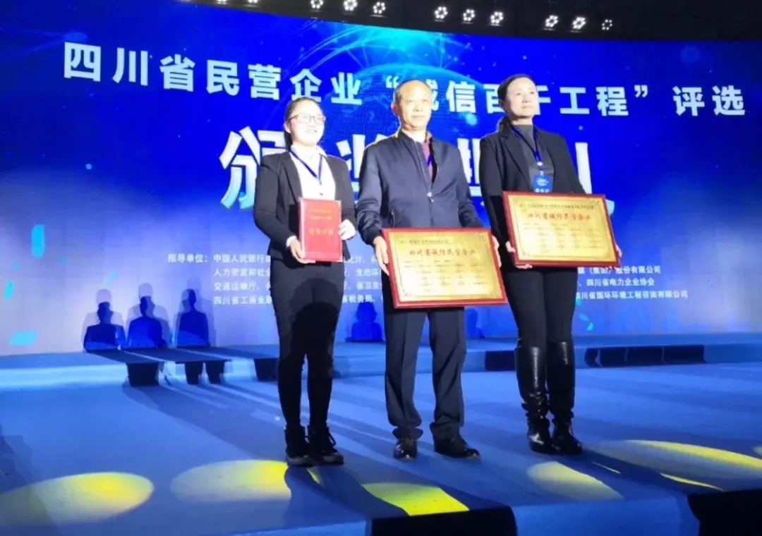 來(lái)自成蜀電力集團(tuán)的2019答卷