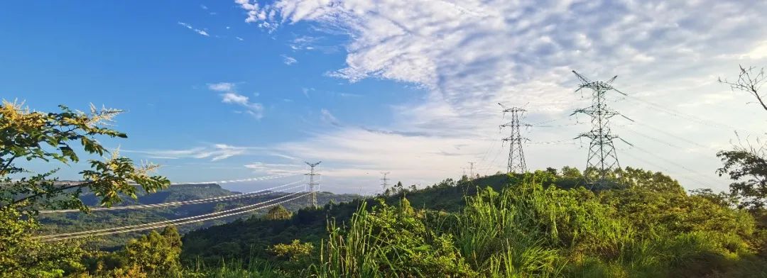 成蜀電力集團領導節(jié)日假期分赴項目一線指導工作
