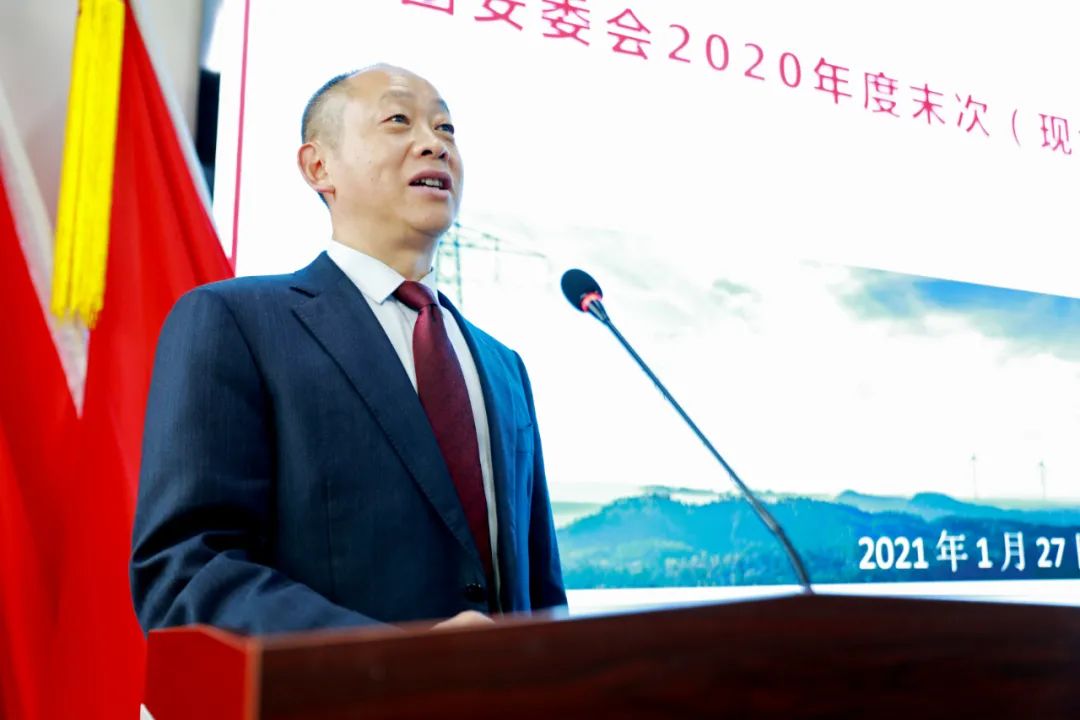 成蜀電力集團(tuán)召開安委會2020年度末次會議