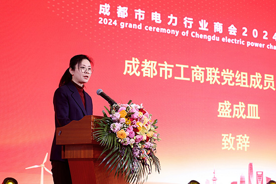 集團榮獲成都市電力行業(yè)商會兩項榮譽