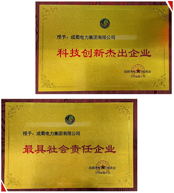 集團榮獲成都市電力行業(yè)商會兩項榮譽