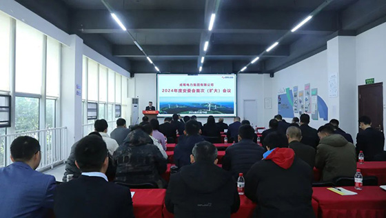 成蜀電力集團(tuán)召開2024年度安委會首次（擴(kuò)大）會議