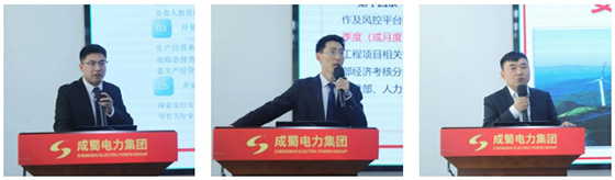 成蜀電力集團(tuán)召開2024年度安委會首次（擴(kuò)大）會議