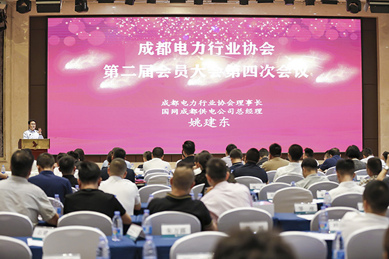 我司員工獲評(píng)成都電力行業(yè)協(xié)會(huì)先進(jìn)個(gè)人