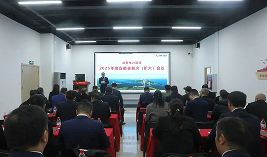 集團(tuán)召開2025年度安委會(huì)首次（擴(kuò)大）會(huì)議